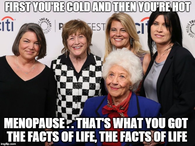 FIRST YOU'RE COLD AND THEN YOU'RE HOT MENOPAUSE . . THAT'S WHAT YOU GOT THE FACTS OF LIFE, THE FACTS OF LIFE | image tagged in funny,grandma,after school | made w/ Imgflip meme maker