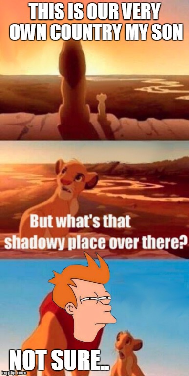 THIS IS OUR VERY OWN COUNTRY MY SON NOT SURE.. | image tagged in memes,simba shadowy place,futurama fry | made w/ Imgflip meme maker