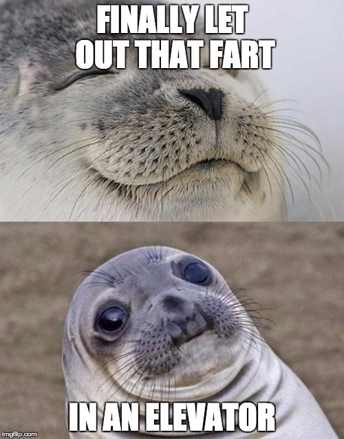 Short Satisfaction VS Truth | FINALLY LET OUT THAT FART IN AN ELEVATOR | image tagged in memes,short satisfaction vs truth | made w/ Imgflip meme maker