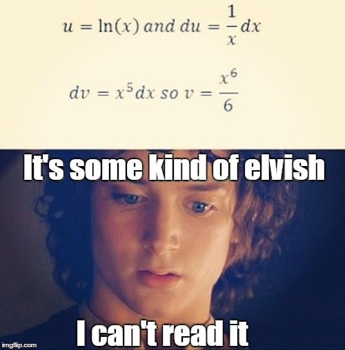 Exams. | It's some kind of elvish I can't read it | image tagged in wut | made w/ Imgflip meme maker