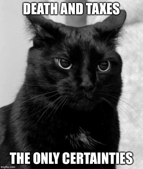 pissed cat | DEATH AND TAXES THE ONLY CERTAINTIES | image tagged in pissed cat | made w/ Imgflip meme maker