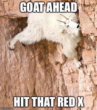 mountain goat | GOAT AHEAD HIT THAT RED X | image tagged in mountain goat | made w/ Imgflip meme maker