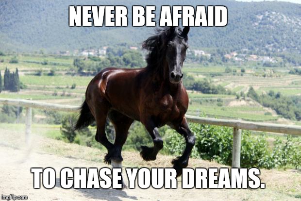 Hot Horse | NEVER BE AFRAID TO CHASE YOUR DREAMS. | image tagged in hot horse | made w/ Imgflip meme maker