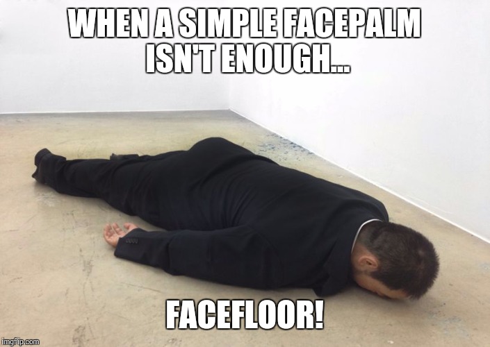 WHEN A SIMPLE FACEPALM ISN'T ENOUGH... FACEFLOOR! | image tagged in facefloor | made w/ Imgflip meme maker