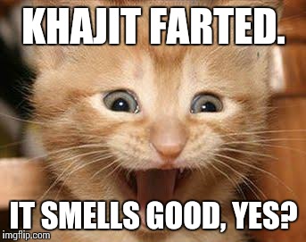 Excited Cat Meme | KHAJIT FARTED. IT SMELLS GOOD, YES? | image tagged in memes,excited cat | made w/ Imgflip meme maker