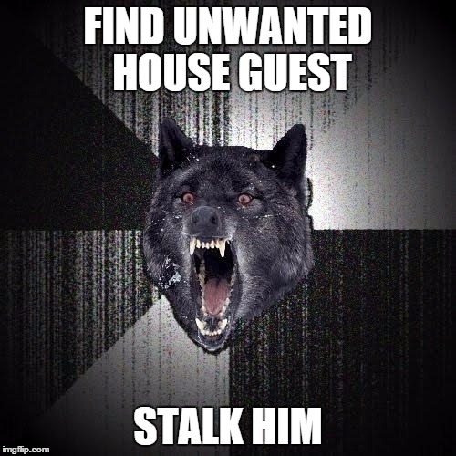 Insanity Wolf Meme | FIND UNWANTED HOUSE GUEST STALK HIM | image tagged in memes,insanity wolf | made w/ Imgflip meme maker