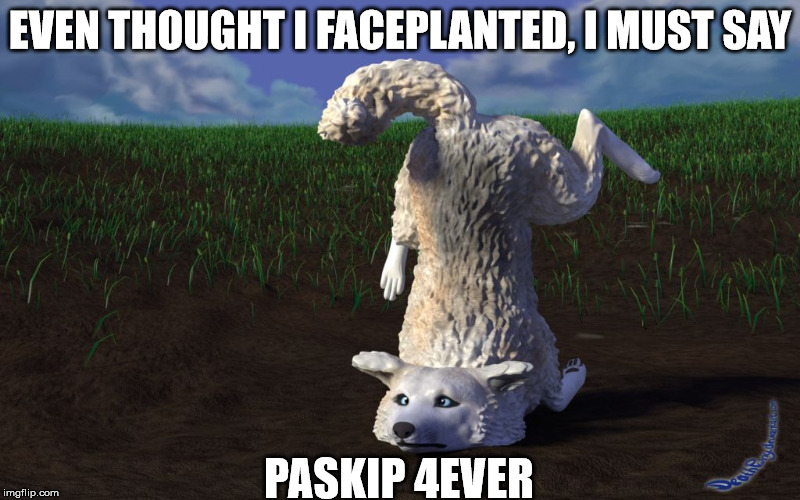 Moon Moon Faceplanted | EVEN THOUGHT I FACEPLANTED, I MUST SAY PASKIP 4EVER | image tagged in moon moon faceplanted | made w/ Imgflip meme maker