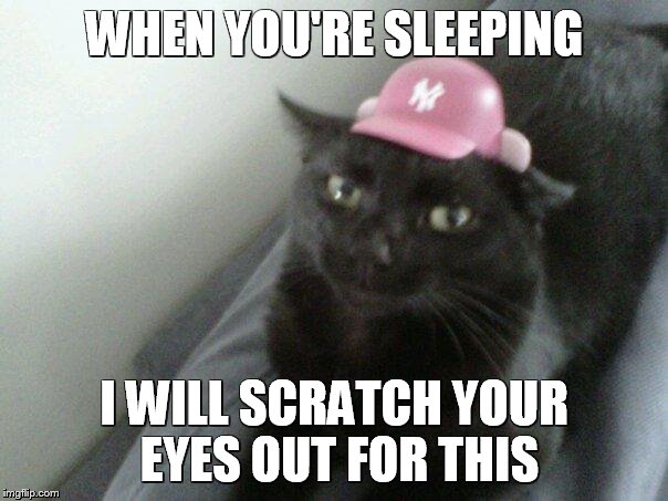 Jelly Bean Psycho Stare | WHEN YOU'RE SLEEPING I WILL SCRATCH YOUR EYES OUT FOR THIS | image tagged in psycho,stare | made w/ Imgflip meme maker