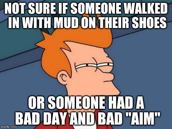 I came back from a camping trip recently. One of the restrooms had suspicious brown spots on the floor... | NOT SURE IF SOMEONE WALKED IN WITH MUD ON THEIR SHOES OR SOMEONE HAD A BAD DAY AND BAD "AIM" | image tagged in memes,futurama fry | made w/ Imgflip meme maker
