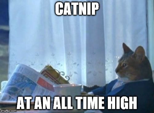 I Should Buy A Boat Cat | CATNIP AT AN ALL TIME HIGH | image tagged in memes,i should buy a boat cat | made w/ Imgflip meme maker