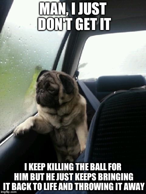 Introspective Pug | MAN, I JUST DON'T GET IT I KEEP KILLING THE BALL FOR HIM BUT HE JUST KEEPS BRINGING IT BACK TO LIFE AND THROWING IT AWAY | image tagged in introspective pug | made w/ Imgflip meme maker