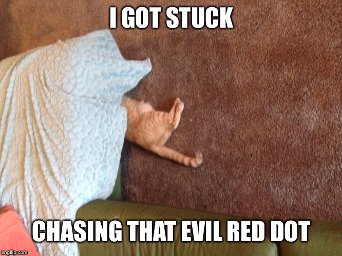 Cat under couch | I GOT STUCK CHASING THAT EVIL RED DOT | image tagged in cats,memes,funny | made w/ Imgflip meme maker