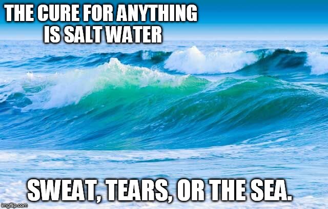 THE CURE FOR ANYTHING IS SALT WATER SWEAT, TEARS, OR THE SEA. | image tagged in salt water | made w/ Imgflip meme maker