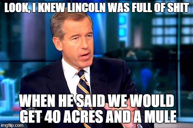 LOOK, I KNEW LINCOLN WAS FULL OF SHIT WHEN HE SAID WE WOULD GET 40 ACRES AND A MULE | image tagged in brian williams was there | made w/ Imgflip meme maker