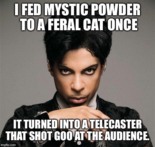 PrinceInsitu | I FED MYSTIC POWDER TO A FERAL CAT ONCE IT TURNED INTO A TELECASTER THAT SHOT GOO AT THE AUDIENCE. | image tagged in princeinsitu | made w/ Imgflip meme maker