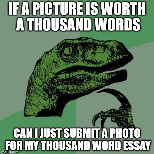 Philosoraptor | IF A PICTURE IS WORTH A THOUSAND WORDS CAN I JUST SUBMIT A PHOTO FOR MY THOUSAND WORD ESSAY | image tagged in memes,philosoraptor | made w/ Imgflip meme maker
