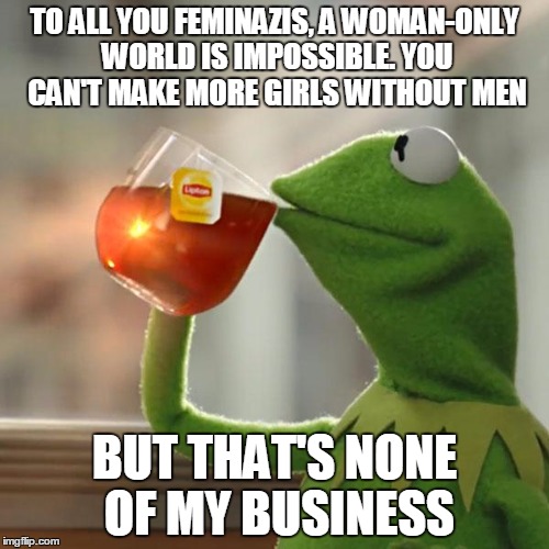 But That's None Of My Business | TO ALL YOU FEMINAZIS, A WOMAN-ONLY WORLD IS IMPOSSIBLE. YOU CAN'T MAKE MORE GIRLS WITHOUT MEN BUT THAT'S NONE OF MY BUSINESS | image tagged in memes,but thats none of my business,kermit the frog | made w/ Imgflip meme maker