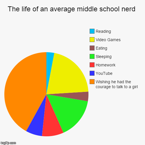 The Life of a Teenage Nerd | image tagged in funny,pie charts,nerds | made w/ Imgflip chart maker