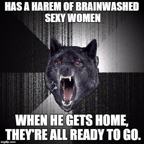 HAS A HAREM OF BRAINWASHED SEXY WOMEN WHEN HE GETS HOME, THEY'RE ALL READY TO GO. | made w/ Imgflip meme maker