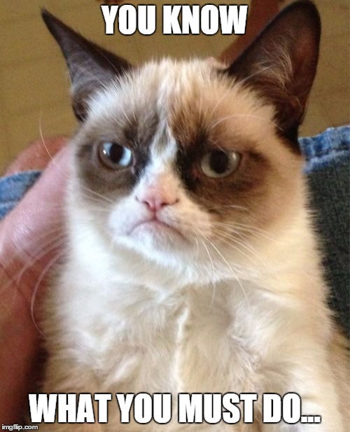 Grumpy Cat Meme | YOU KNOW WHAT YOU MUST DO... | image tagged in memes,grumpy cat | made w/ Imgflip meme maker