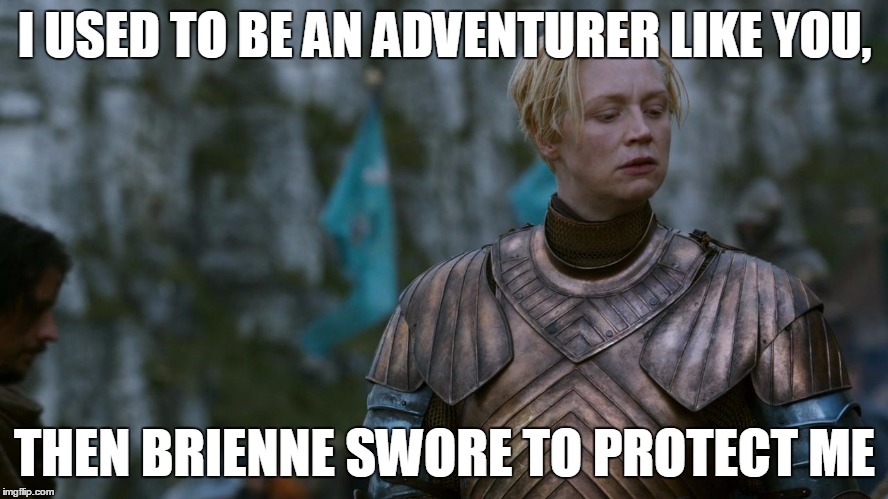 I USED TO BE AN ADVENTURER LIKE YOU, THEN BRIENNE SWORE TO PROTECT ME | image tagged in game of thrones,skyrim,brienne | made w/ Imgflip meme maker