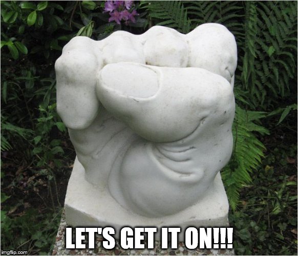 LET'S GET IT ON!!! | image tagged in fist | made w/ Imgflip meme maker