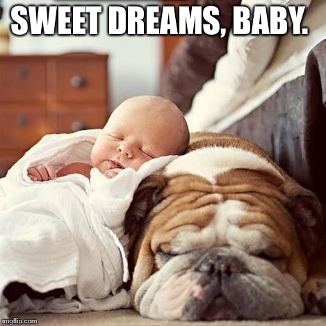 SWEET DREAMS, BABY. | image tagged in bulldog baby | made w/ Imgflip meme maker
