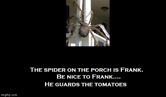 Be Nice to Frank | image tagged in spider | made w/ Imgflip meme maker