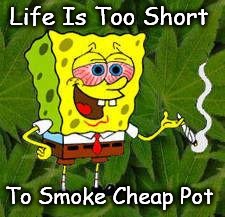 Weed | Life Is Too Short To Smoke Cheap Pot | image tagged in weed | made w/ Imgflip meme maker