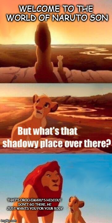 Simba Shadowy Place Meme | WELCOME TO THE WORLD OF NARUTO SON THAT'S OROCHIMARU'S HIDEOUT DON'T GO THERE, HE JUST WANTS YOU FOR YOUR BODY | image tagged in memes,simba shadowy place | made w/ Imgflip meme maker
