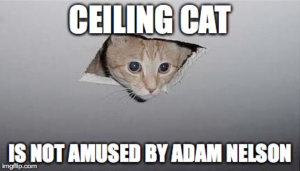 CEILING CAT IS NOT AMUSED BY ADAM NELSON | image tagged in ceiling cat  | made w/ Imgflip meme maker