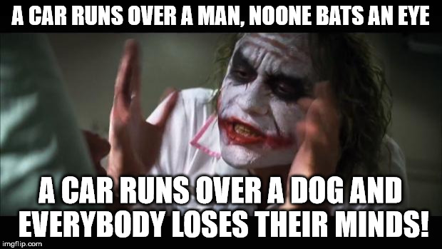 Am I the only one around here who's sick of #stopyulin2015? | A CAR RUNS OVER A MAN, NOONE BATS AN EYE A CAR RUNS OVER A DOG AND EVERYBODY LOSES THEIR MINDS! | image tagged in memes,and everybody loses their minds,funny,truth | made w/ Imgflip meme maker