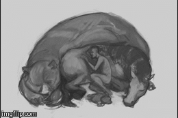 image tagged in gifs | made w/ Imgflip video-to-gif maker