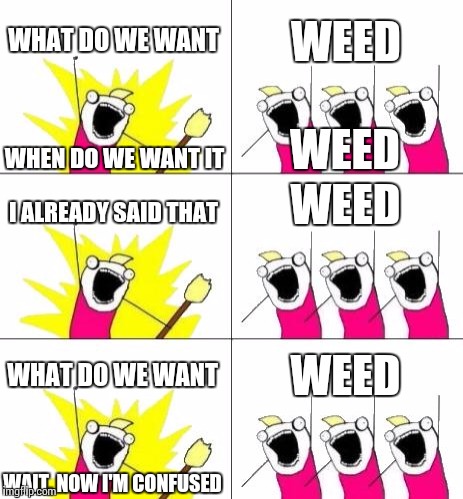 Stoner weed protest. | WHAT DO WE WANT WEED I ALREADY SAID THAT WHEN DO WE WANT IT WHAT DO WE WANT WEED WEED WAIT, NOW I'M CONFUSED WEED | image tagged in memes,what do we want 3 | made w/ Imgflip meme maker