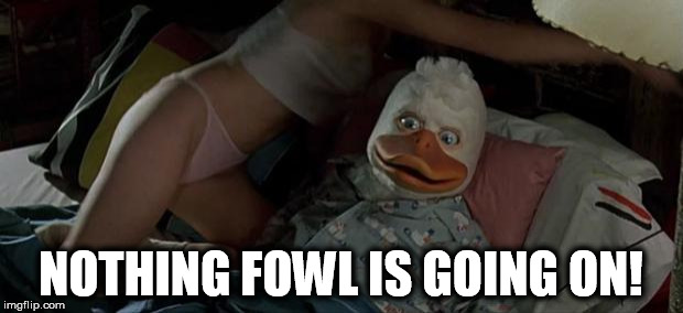 howard the duck | NOTHING FOWL IS GOING ON! | image tagged in howard the duck | made w/ Imgflip meme maker