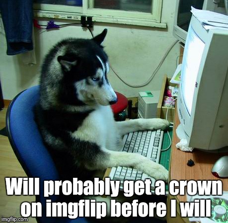Dog gone good | Will probably get a crown on imgflip before I will | image tagged in memes,i have no idea what i am doing | made w/ Imgflip meme maker