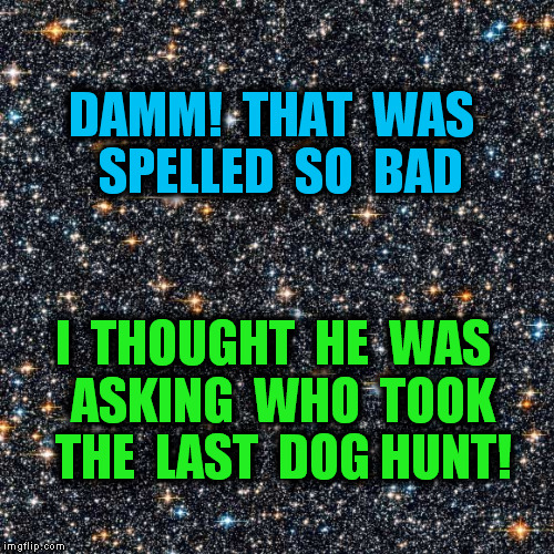 DAMM!  THAT  WAS  SPELLED  SO  BAD I  THOUGHT  HE  WAS  ASKING  WHO  TOOK  THE  LAST  DOG HUNT! | image tagged in starry background | made w/ Imgflip meme maker