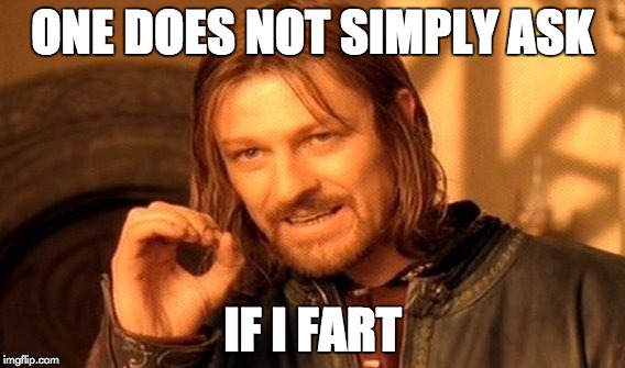 One Does Not Simply Meme | ONE DOES NOT SIMPLY ASK IF I FART | image tagged in memes,one does not simply | made w/ Imgflip meme maker