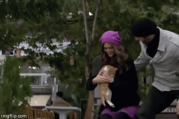 image tagged in gifs | made w/ Imgflip video-to-gif maker