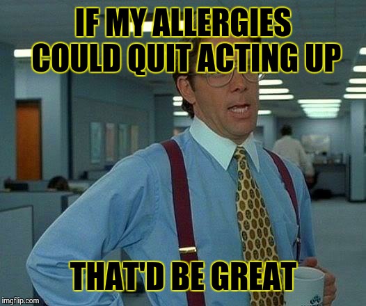 That Would Be Great Meme | IF MY ALLERGIES COULD QUIT ACTING UP THAT'D BE GREAT | image tagged in memes,that would be great | made w/ Imgflip meme maker