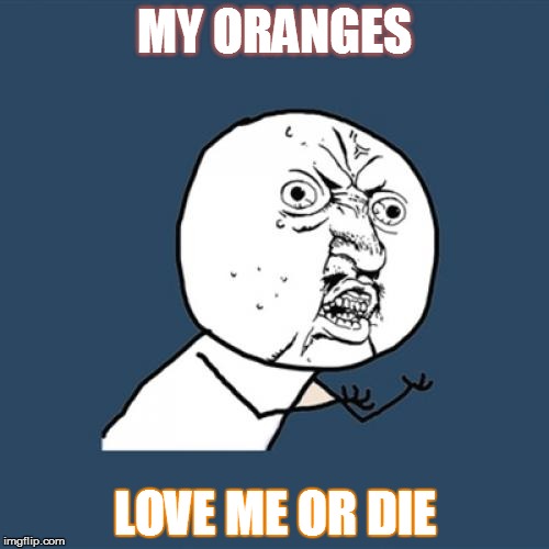 Y U No | MY ORANGES LOVE ME OR DIE | image tagged in memes,y u no | made w/ Imgflip meme maker