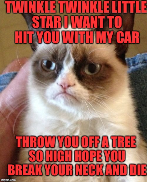 Twinkle twinkle little star... | TWINKLE TWINKLE LITTLE STAR I WANT TO HIT YOU WITH MY CAR THROW YOU OFF A TREE SO HIGH HOPE YOU BREAK YOUR NECK AND DIE | image tagged in memes,grumpy cat | made w/ Imgflip meme maker