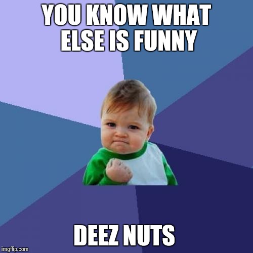 Success Kid Meme | YOU KNOW WHAT ELSE IS FUNNY DEEZ NUTS | image tagged in memes,success kid | made w/ Imgflip meme maker