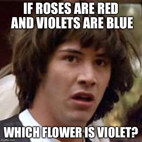 Conspiracy Keanu Meme | IF ROSES ARE RED AND VIOLETS ARE BLUE WHICH FLOWER IS VIOLET? | image tagged in memes,conspiracy keanu,bad luck brian,philosoraptor,creepy condescending wonka,pie charts | made w/ Imgflip meme maker