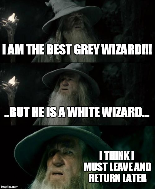Confused Gandalf Meme | I AM THE BEST GREY WIZARD!!! ..BUT HE IS A WHITE WIZARD... I THINK I MUST LEAVE AND RETURN LATER | image tagged in memes,confused gandalf | made w/ Imgflip meme maker