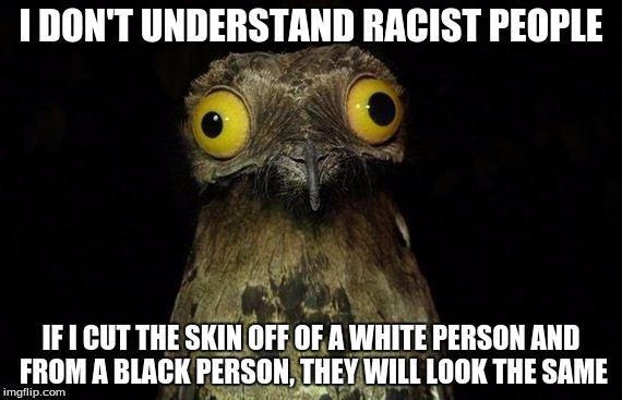 And I could make a couple of leather coats | I DON'T UNDERSTAND RACIST PEOPLE IF I CUT THE SKIN OFF OF A WHITE PERSON AND FROM A BLACK PERSON, THEY WILL LOOK THE SAME | image tagged in memes,weird stuff i do potoo | made w/ Imgflip meme maker