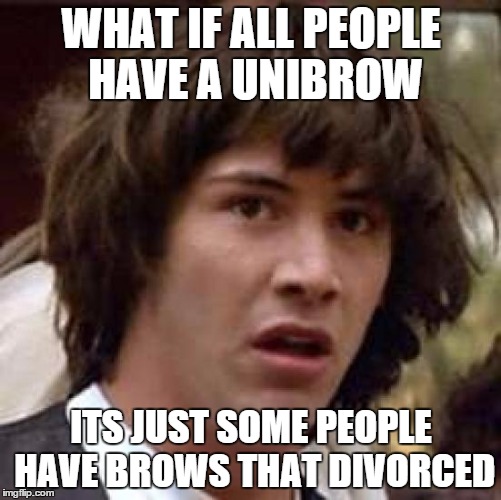 Conspiracy Keanu Meme | WHAT IF ALL PEOPLE HAVE A UNIBROW ITS JUST SOME PEOPLE HAVE BROWS THAT DIVORCED | image tagged in memes,conspiracy keanu | made w/ Imgflip meme maker