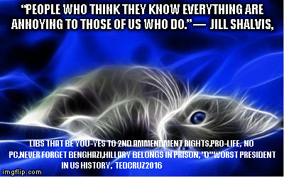 Mystical blue eyed cat of Great wisdom and foresight  | “PEOPLE WHO THINK THEY KNOW EVERYTHING ARE ANNOYING TO THOSE OF US WHO DO.” ―  JILL SHALVIS, LIBS THAT BE YOU-YES TO 2ND AMMENDMENT RIGHTS,P | image tagged in mystical blue eyed cat of great wisdom foresight,nra4ever prolife tedcruz2016 | made w/ Imgflip meme maker