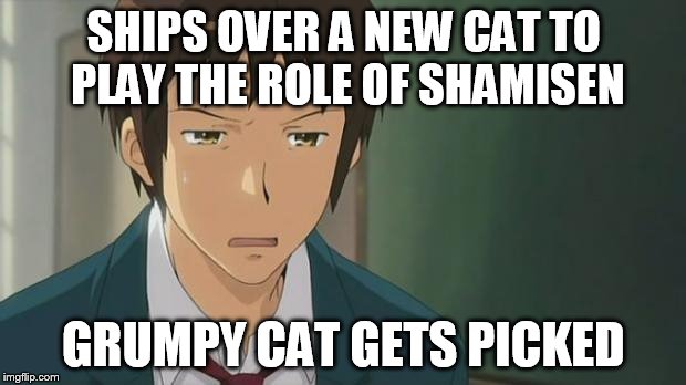 Kyon WTF | SHIPS OVER A NEW CAT TO PLAY THE ROLE OF SHAMISEN GRUMPY CAT GETS PICKED | image tagged in kyon wtf | made w/ Imgflip meme maker