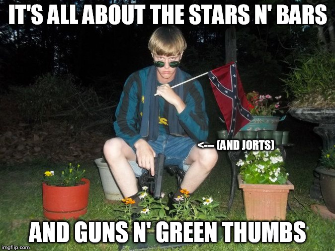 At least two people thought this picture was a good idea | IT'S ALL ABOUT THE STARS N' BARS AND GUNS N' GREEN THUMBS <--- (AND JORTS) | image tagged in dylan roof | made w/ Imgflip meme maker